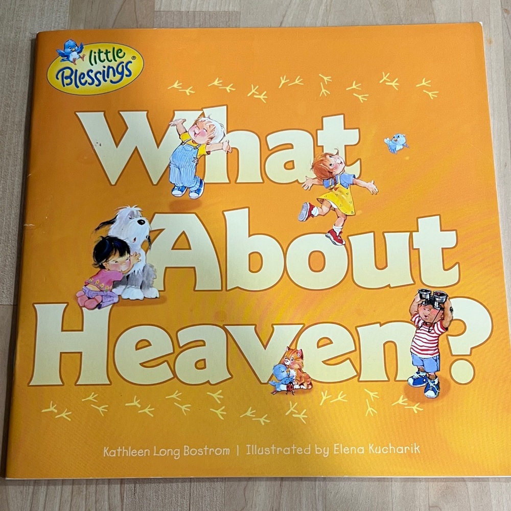 Little Blessings 'What About Heaven?' Kids Book